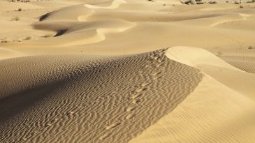 deserts