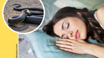 Snake Bite in Dream