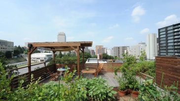 Start a Terrace Garden