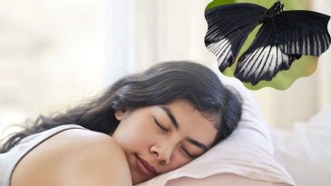 black butterfly in dreams