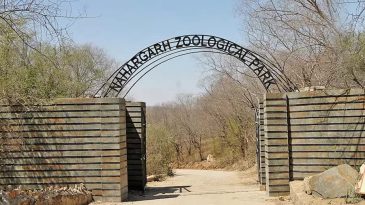 Nahargarh Biological Park Jaipur : Everything You Need to Know