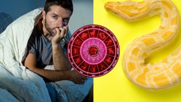 Yellow snake in dream Hindu Astrology