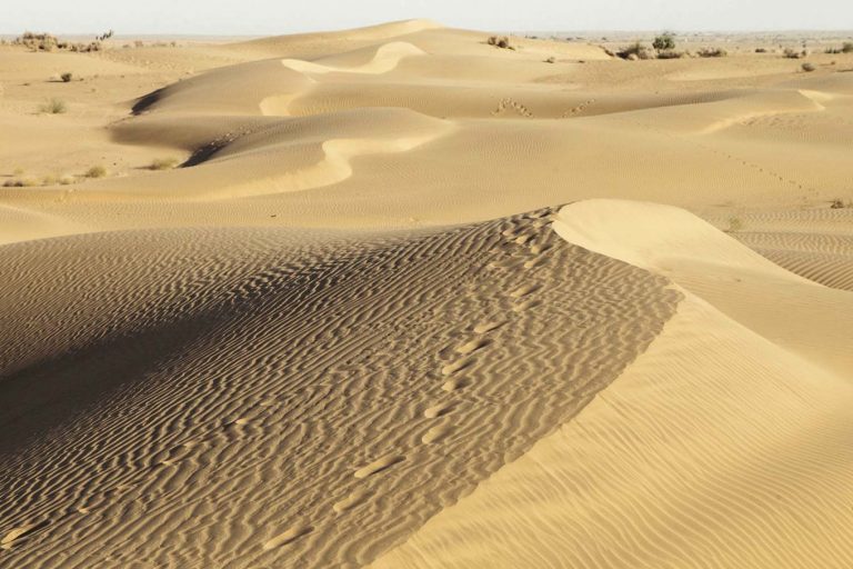 deserts