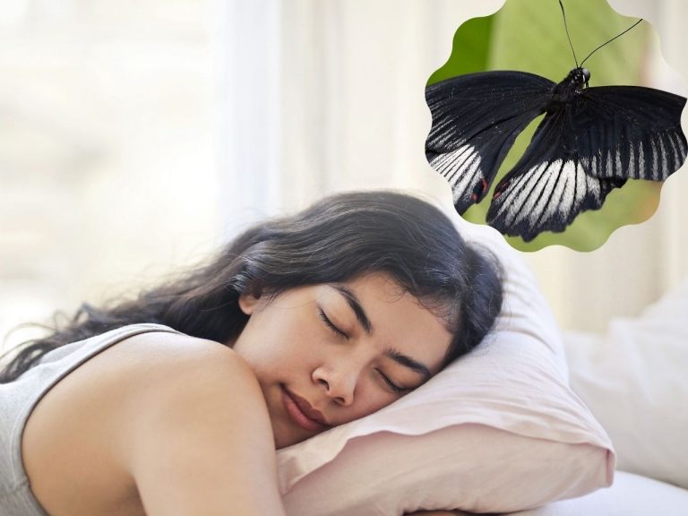 black butterfly in dreams
