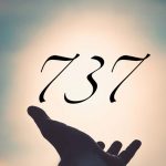 737 angle number