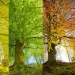Seasonal Weather Changes