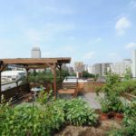 Start a Terrace Garden
