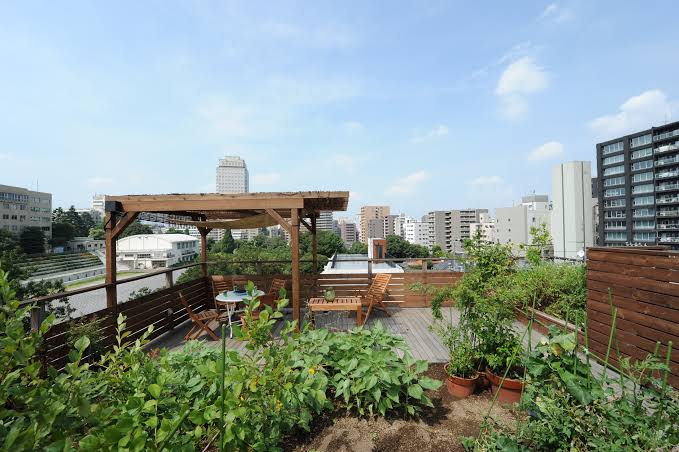 Start a Terrace Garden