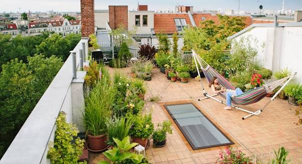 Start a Terrace Garden