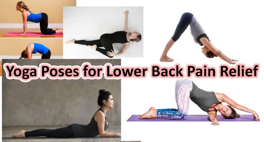 Best 5 Yoga Poses for Lower Back Pain Relief