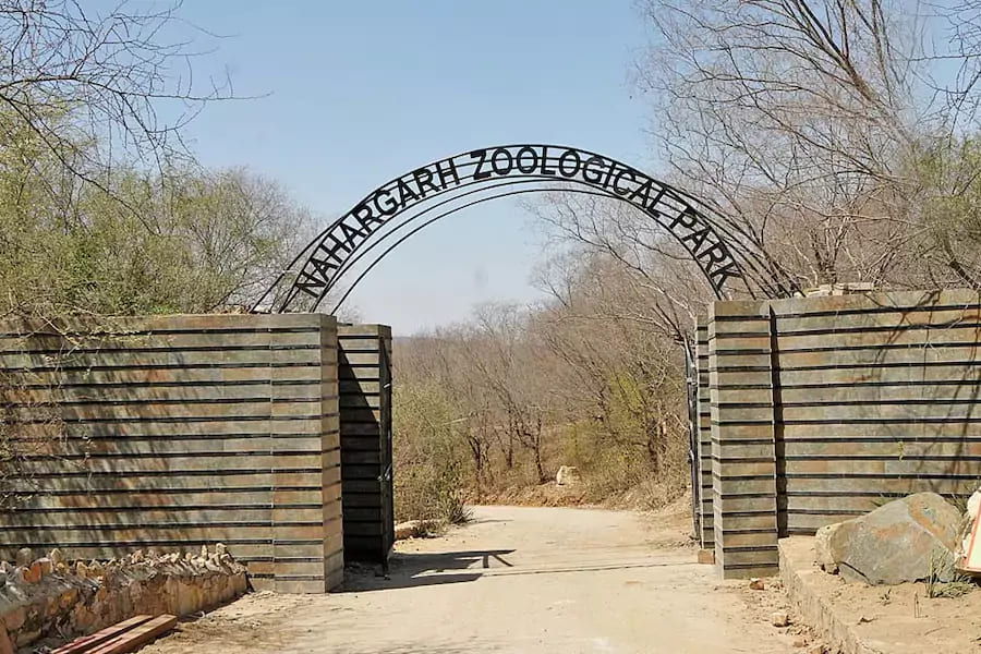 Nahargarh Biological Park Jaipur : Everything You Need to Know