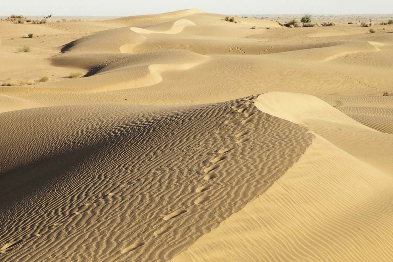 deserts