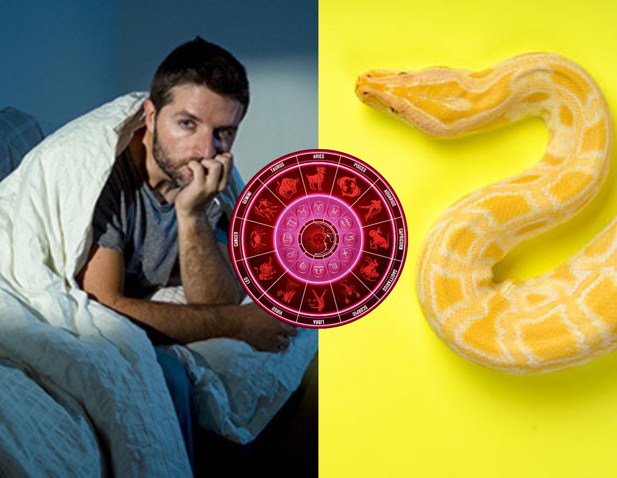 Yellow snake in dream Hindu Astrology