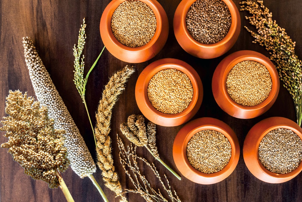 A Guide to Indian Millets Types, Nutritional Values, and Uses