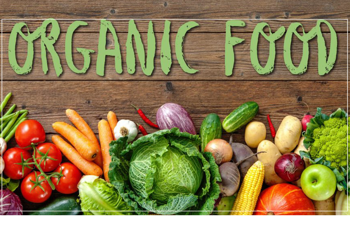 The Growing Market for Organic and Natural Food Products in Indian Cities