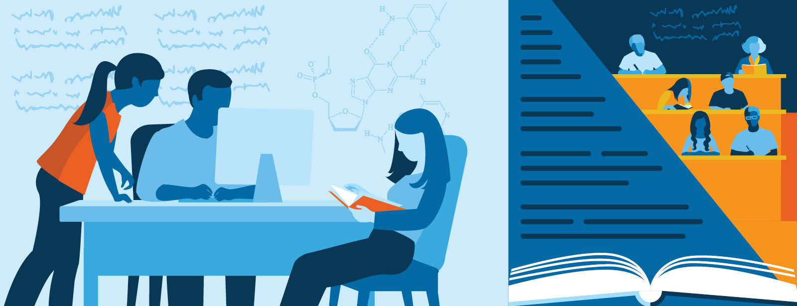 Why Skills Matter More Than Degrees in Today’s Job Market