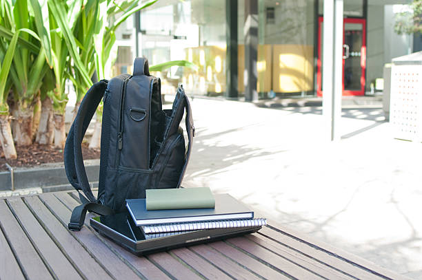 Top Laptop Bags for Professionals