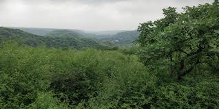Aravali in Danger